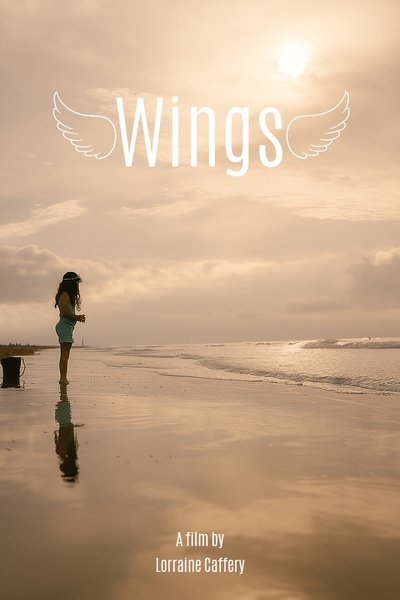 movie poster for Wings