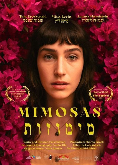 Poster do Filme מימוזות