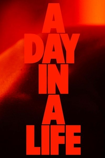 Poster for the movie A Day in a Life