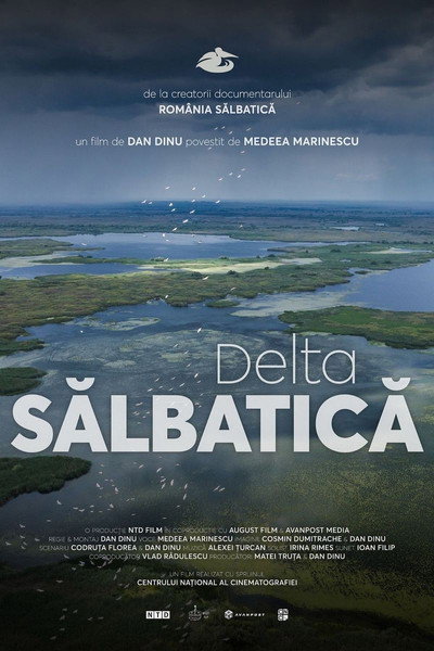 Wild Delta