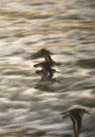 Poster do Filme Four Diamonds