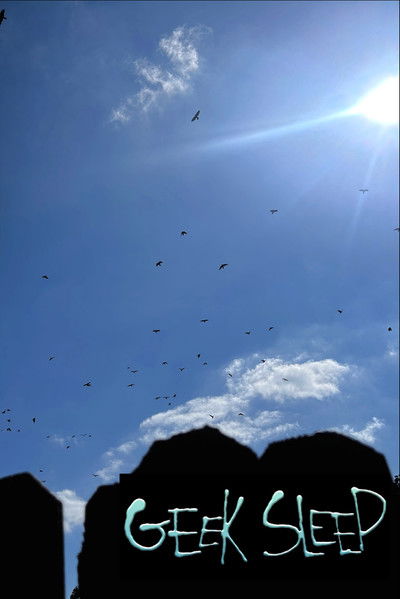 Poster do Filme Geeksleep