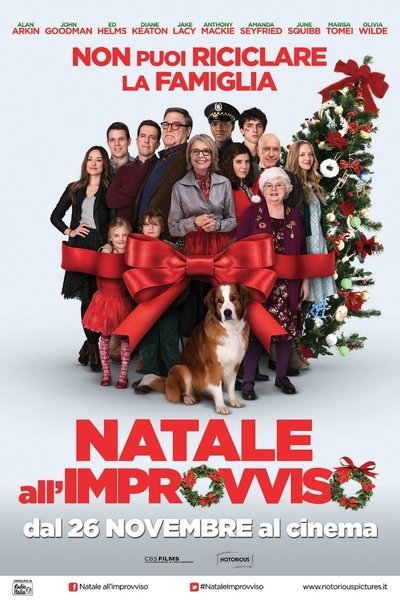 Natale all'improvviso (2015)