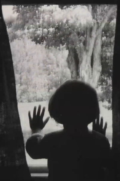 Poster do Filme Shiva Ree