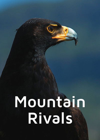 Poster do Filme Mountain Rivals
