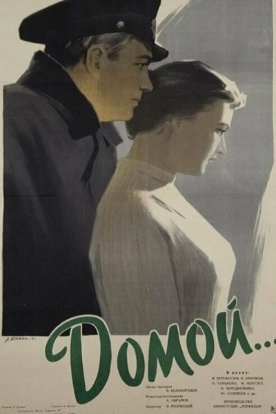 movie poster for Home
