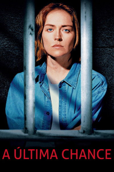 Poster do Filme A Última Chance