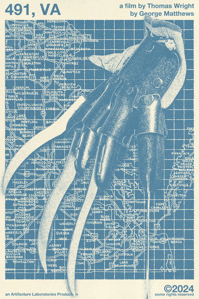 Poster do Filme 491, VA