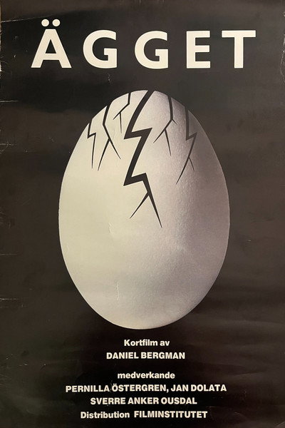 The Egg