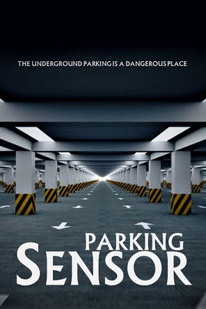 Poster do Filme Parking Sensor