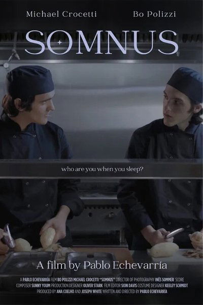 Poster do Filme Somnus