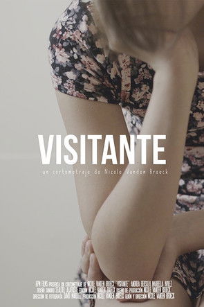 Poster do Filme Visitante
