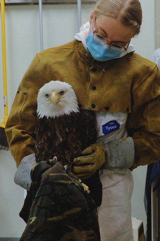 Poster do Filme Lead it Go