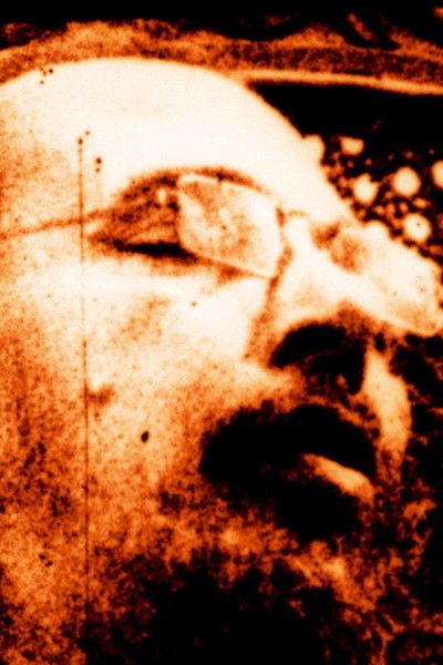 Poster do Filme The Caretaker