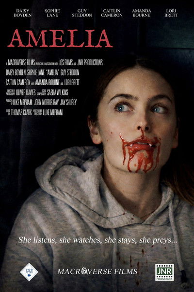 movie poster for Amelia