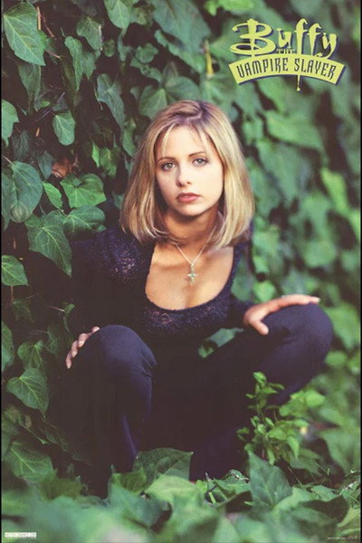 Buffy the Vampire Slayer