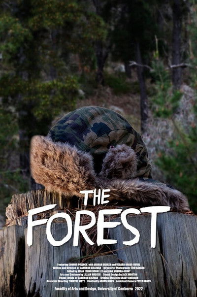 Poster do Filme The Forest
