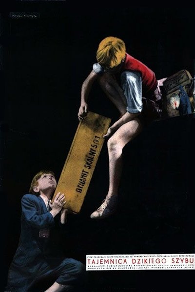 Poster for the movie Tajemnica dzikiego szybu