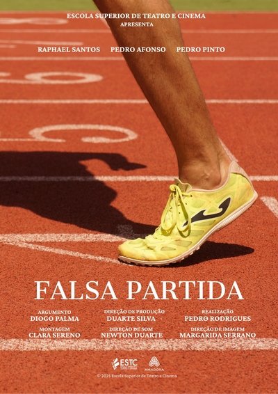 Poster do Filme Falsa Partida