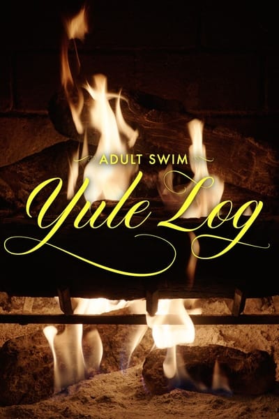 Poster for the movie Adult Swim Yule Log