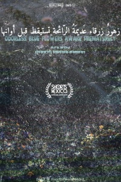 Poster do Filme Odorless Blue Flowers Awake Prematurely
