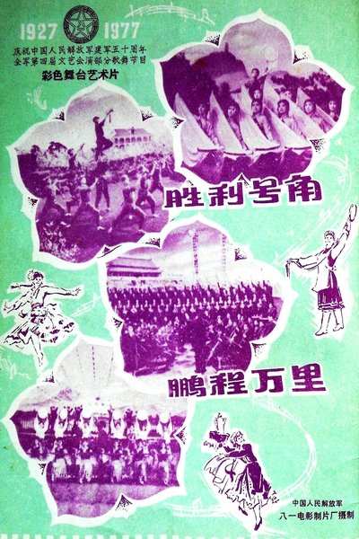 Poster do Filme 胜利号角