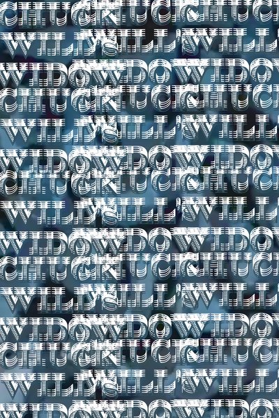 Poster do Filme Chuck's Will's Widow