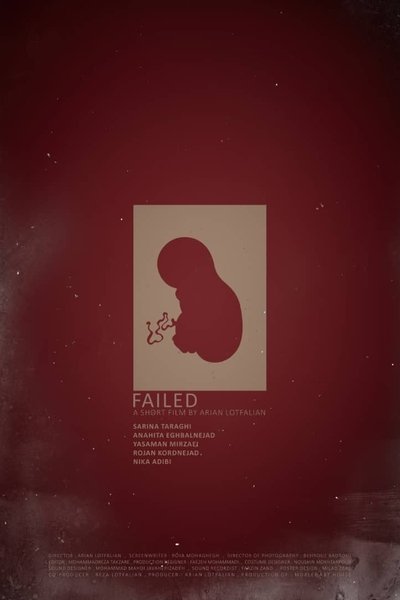 movie poster for Failed
