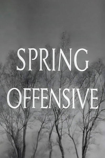 Poster do Filme Spring Offensive
