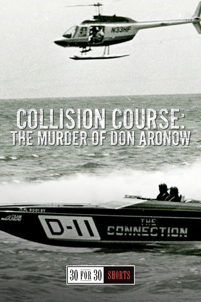 Poster do Filme Collision Course: The Murder of Don Aronow