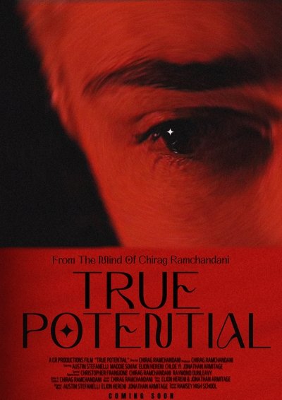 Poster do Filme True Potential