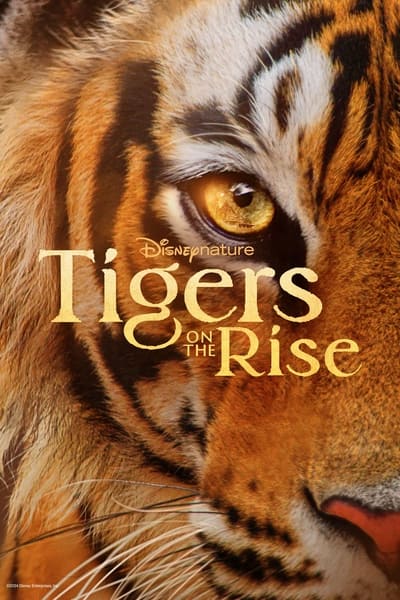 Poster for the movie Tigers on the Rise