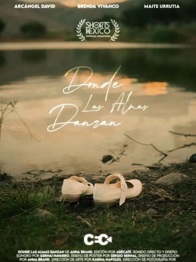 movie poster for Where Souls Dance