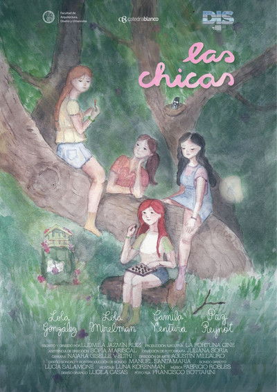 Poster do Filme Las chicas