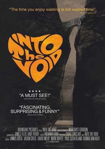 Poster do Filme Into the Void