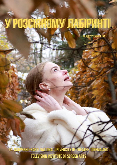 Poster do Filme У розсіяному лабіринті