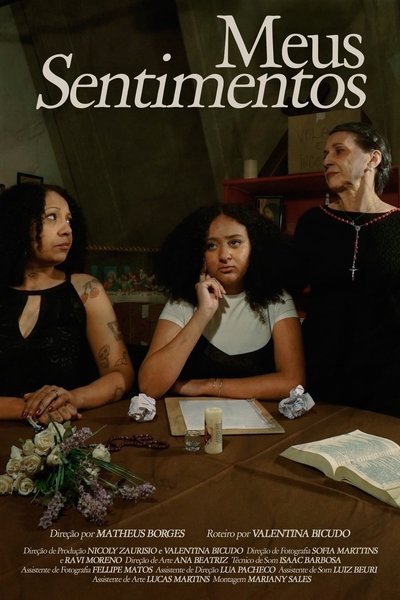 movie poster for Meus Sentimentos