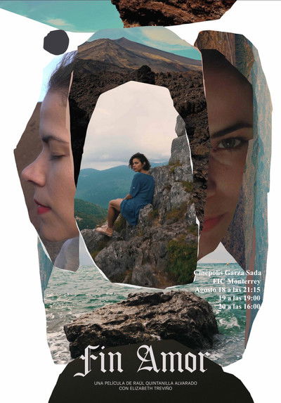 Poster do Filme Fin Amor