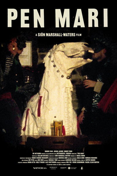 Poster do Filme Pen Mari