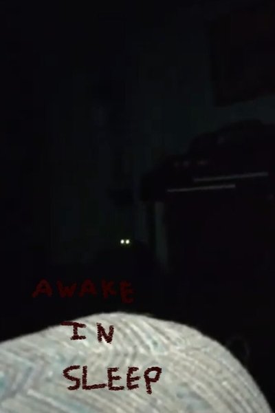 Poster do Filme Awake in Sleep...