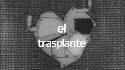 The Transplant
