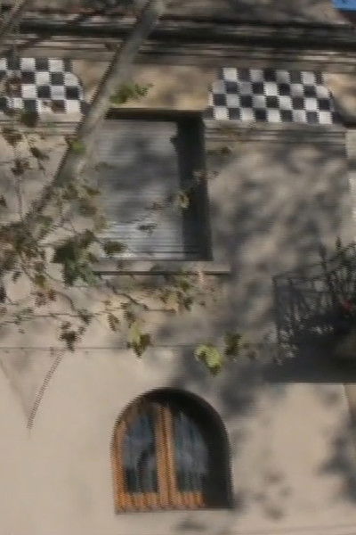 Poster do Filme Sicómoro