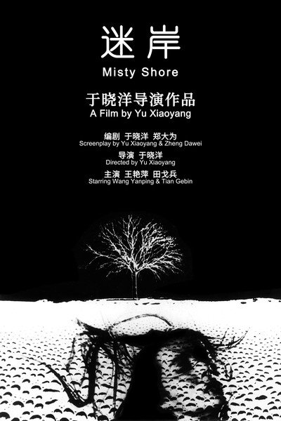 Poster do Filme 迷岸