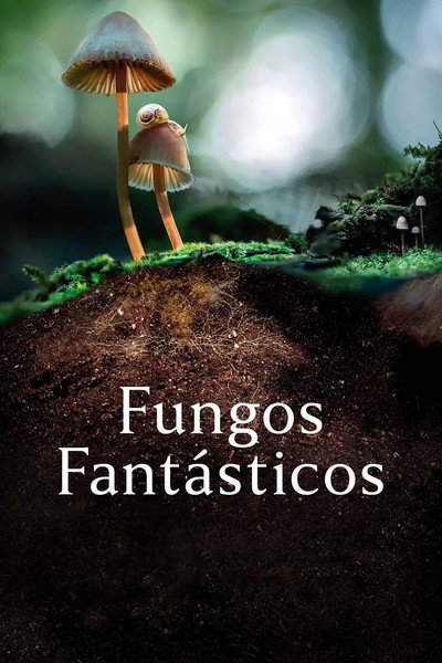 Poster do Filme Fungos Fantásticos