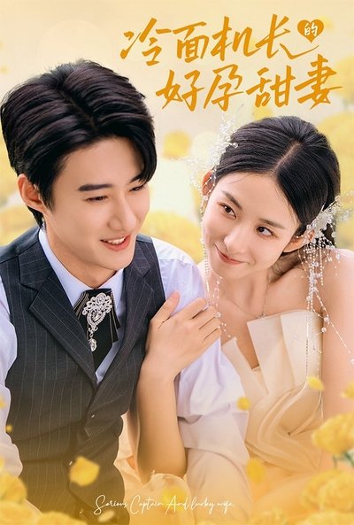 poster for 冷面机长的好孕甜妻
