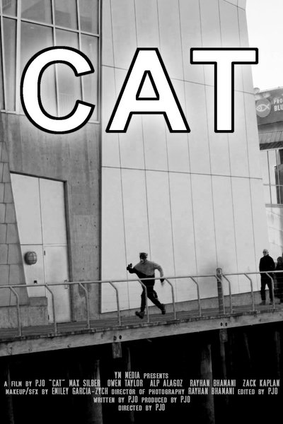 Poster do Filme CAT