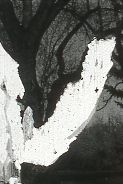 Poster do Filme Black Vision