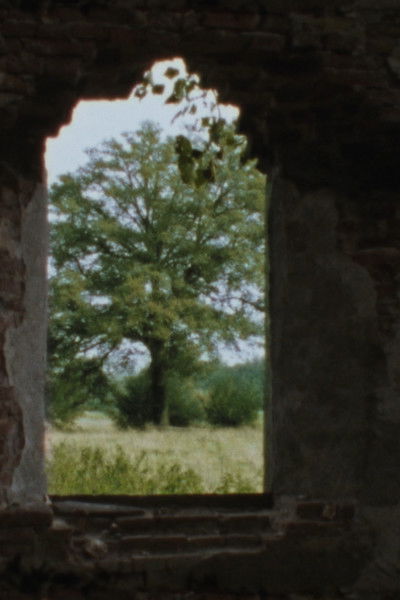 Poster do Filme Landscape as Landscape 8