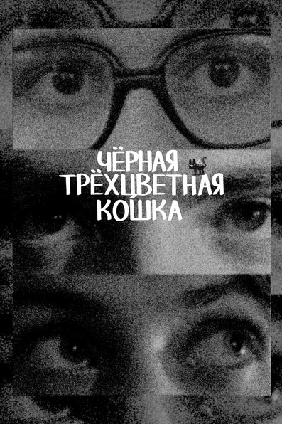 Poster do Filme Чёрная трёхцветная кошка