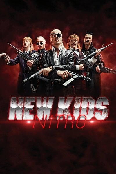 Poster do Filme New Kids Nitro